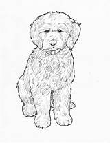 Coloring Labradoodle Printable Sheet Kids Doodle Dog Book Adults sketch template