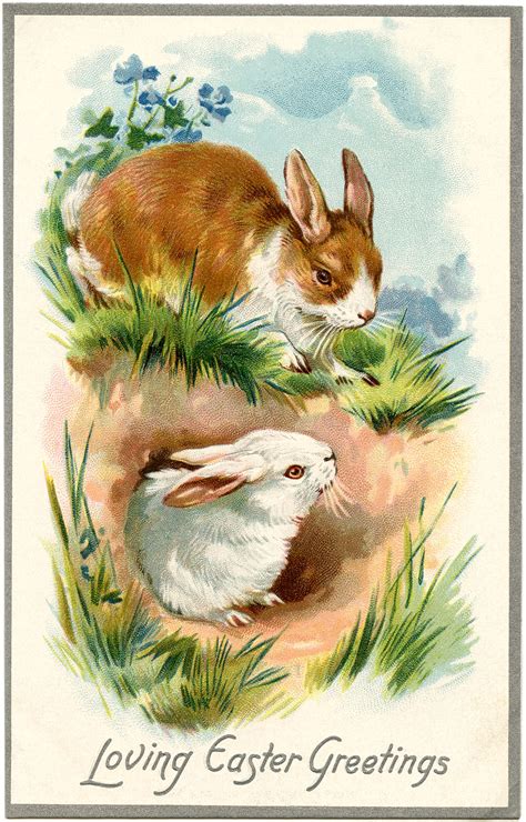 vintage easter bunnies card  graphics fairy