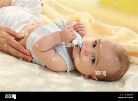 supine position  res stock photography  images alamy