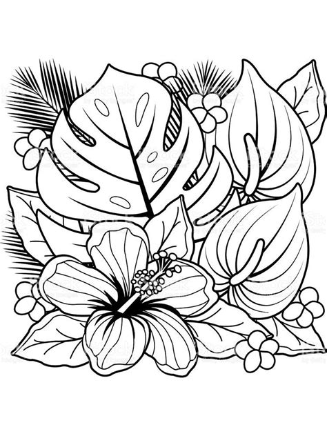 flower coloring pages hd    collection  beautiful flower