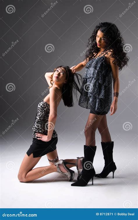 Lesbian Playfulness Stock Image Image Of Lovers Couple 8712871