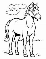 Coloring Horse Cartoon Pages Popular sketch template