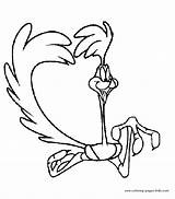 Roadrunner Coloring Pages Coyote Cartoon Tunes Color Runner Road Looney Printable Correcaminos Wily Kids Character Para Colorear Pintar Characters Sheets sketch template