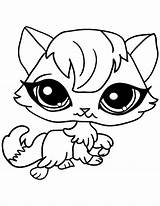 Coloring Pages Cute Animals Eyes Big Cat Animal Eyed Eye Cats Pet Female Printable Drawing Preschool Dolls Color Sheets Kids sketch template