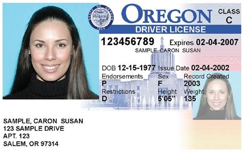 Your First Time Oregon Drivers License Guide Driving Guide
