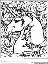 Unicorn Licornes Licorne Coloriages sketch template
