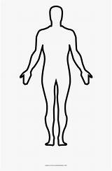 Body Coloring Human Drawing Homo Sapiens Transparent Pngitem Size sketch template