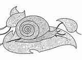 Snail Coloring Vector Book Adults Illustration Adult Style Zentangle Stress Anti Lines Lace sketch template