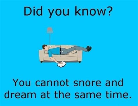 interesting facts did you know interesting facts fun facts weird facts facts