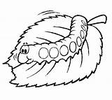 Lagarta Oruga Bruco Caterpillar Chenille Comiendo Mastica Comer Colorare Mange Colorier Orugas Eruga Menjant Acolore Iluminar Kids Dibuix Worms Milho sketch template