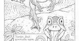 Flying Coloring Reptiles sketch template