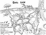 Soil Drawing Little Chemistry Basics Getdrawings Plants Azul Mission sketch template