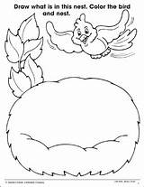 Nest Birds Teachables Scholastic sketch template