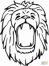Lion Coloring Pages Drawing Roar Head Lions Clipart Roaring Mouth Kids Outline Drawings Roars Clipartpanda Clipartbest Pride Getdrawings Printable Gif sketch template