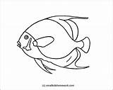Fish Outline Angelfish French Coloring Angel Easy Pages Color Tattoo Choose Board Templates Printable Getdrawings Getcolorings Kids sketch template