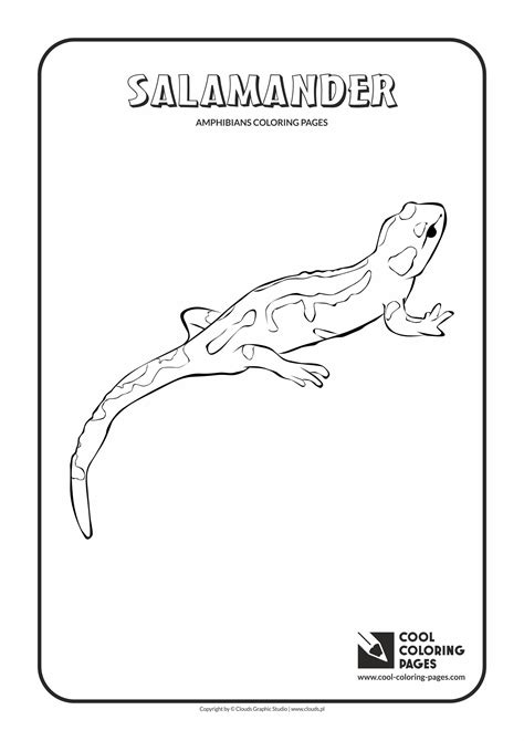 cool coloring pages amphibians  reptiles coloring pages cool