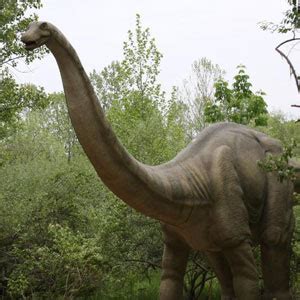 historical fun  fun facts   brontosaurus