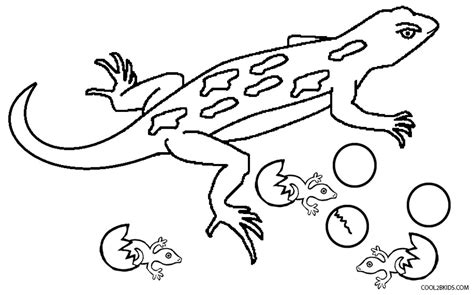 coloring pages   lizard coloring home