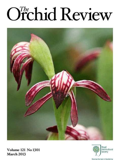 download articles from the orchid review rhs gardening