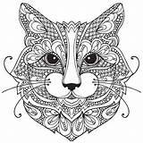 Cats Katze Ausmalen sketch template