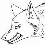 Drawing Snarling Wolf Wolves Anime Getdrawings Drawings sketch template