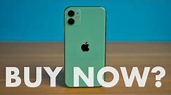 iPhone 11 in 2020 Review - Buy NOW or WAIT?