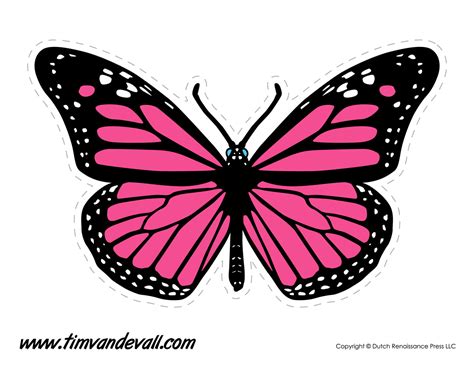 printable butterfly tim van de vall
