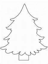 Tree Evergreen Drawing Clipartmag Coloring Christmas sketch template