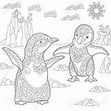 Penguin Jungen Pinguine Malvorlage Arktischen Zentangle Arctic Malbild sketch template