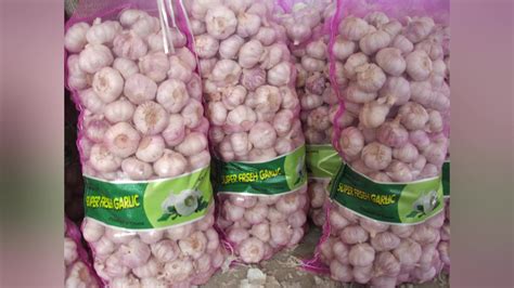 cheapest price natural normal white garlic  pakistan buy natural