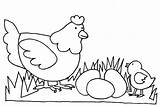 Mewarnai Hewan Binatang Ayam Paud Poule Mewarna Tumbuhan Poussin Kumpulan Lumba Pola Ikan Poussins Sd Menggambar Kartun Coloriages Utk Fete sketch template