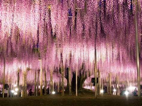 25 Most Beautiful Places In Japan Beautiful Places In