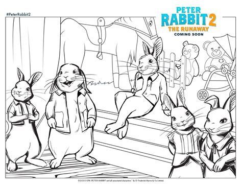 peter rabbit color pages petspare