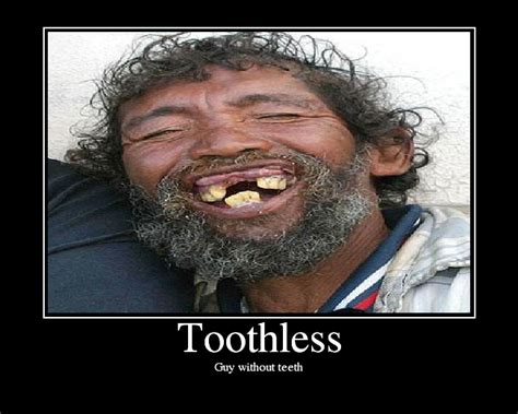 Toothless Picture Ebaum S World