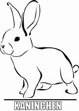 Kaninchen Malvorlage Bauernhof sketch template