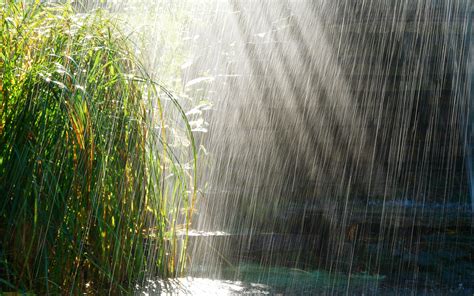 saturday rainy  sunny   marks blog