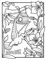 Coloring Pages Seeds Comments Curriculum sketch template