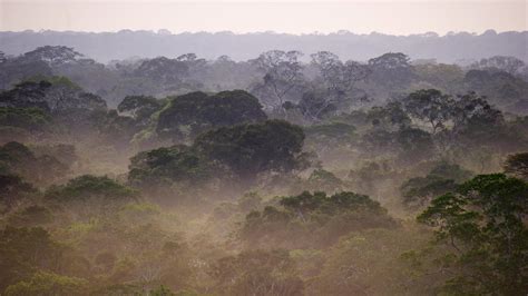 wetterlexikon innere tropen wetterde