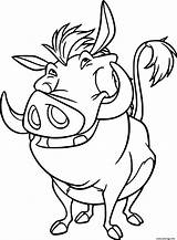 Phacochere Pumba Lion Roi Porc Monsieur Timon Gratuit Simba Fois sketch template