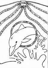 Dolphin Tulamama Dolphins Tricks sketch template