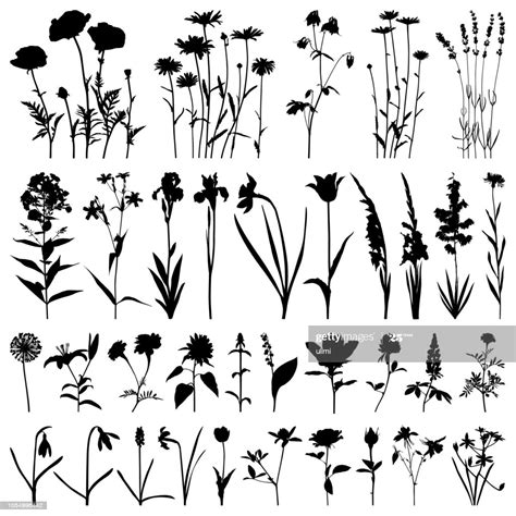 Flowers Silhouette Vector Images High Res Vector Graphic