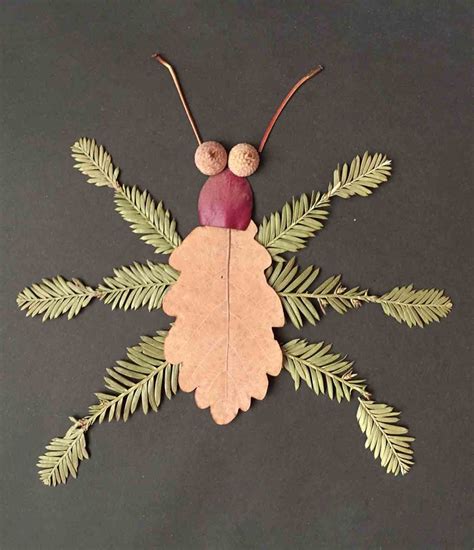 insect nature craft collage nature crafts  kids