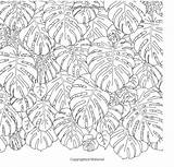 Tropical Pages Coloring Leaves Template sketch template
