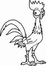 Moana Coloring Pages Chicken Hei Disney Heihei Colouring Turtle Template Printable Kids Wecoloringpage Clipartmag Choose Board sketch template