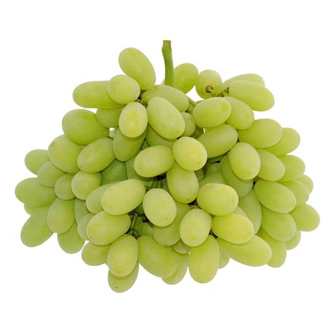 thompson green seedless grapes kg momobud
