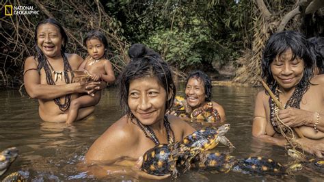 inside the ‘uncontacted amazon tribe threatened by logging mining