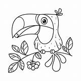 Toucan Sits Berry sketch template