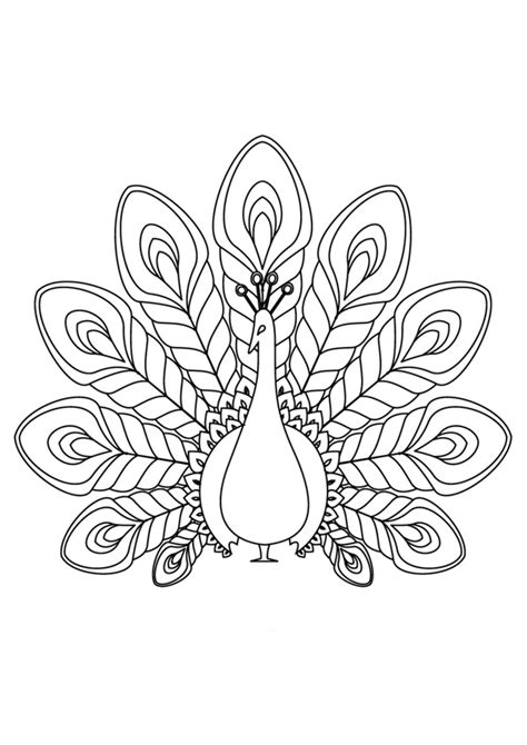 coloring pages peacock coloring pages printable  kids