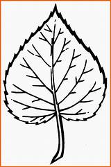 Blatt Malvorlage Modisch Pflanzen Bildgröße 1113 Geschrieben sketch template