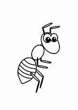 Coloring Pages Ants Big Eyed Color sketch template